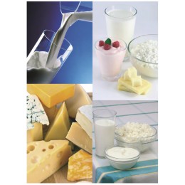 PLEVNIK PH200 - Mjölk, Ost, Yoghurt, Ricotta, Pastörisator, Luftkyld, golv